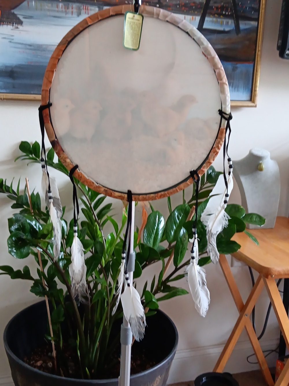Chick-Themed Dreamcatcher  15x15" and Native American Dream Catcher 6" NEW - Picture 4 of 7